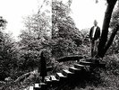 Timber Timbre - Timber Timbre (CLEAR) VINYL (11TH JUNE) PRESALE