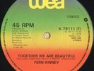 Fern Kinney - Together We Are Beautiful (12
