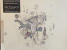 Frightened Rabbit - The Midnight Organ Fight (shrink wrapped, unopened vinyl)