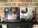 Circa Survive 2 X Vinyl LP Record On Letting Go & Juturna /1000 New