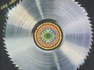 Can ‎- Saw Delight - New Vinyl Record LP