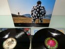 PINK FLOYD-DELICATE SOUND OF THUNDER.SUPERB  1ST UK PRESS N/MINT VINYL LP 1988
