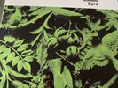 DONALD BYRD Byrd In Flight LP BLUE NOTE JAZZ 180g Reissue 84048 Hank Mobley
