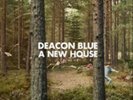 Deacon Blue-A New House Vinyl / 12