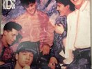 NEW KIDS ON THE BLOCK VINYL LP STEP BY STEP 1990 ORIGINAL PRESS LYRICS SLEEVE