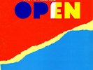 Steve Hillage Open vinyl LP ID34z