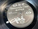 Shannon & Clams Signed by the whole band  LP  Onion Vinyl LP 4 autographs