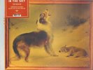 LP Explosions in the Sky The Rescue ANNIVERSARY EDITION NEW OVP Temporary R