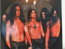 Dismember Picture Vinyl Entombed Benediction Bolthrower Obituary Gorefest Death