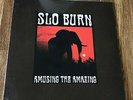 SLO BURN - Amusing The Amazing 10