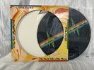 LP – PINK FLOYD / THE DARK SIDE OF THE MOON / PICTURE DISC/ USA / G