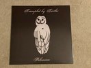 Trampled By Turtles - Palomino 2010 Vinyl LP