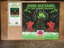 KING GIZZARD & THE LIZARD WIZARD I'M IN YOUR MIND FUZZ Vinyl Record 1000 Only