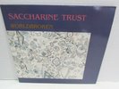SACCHARINE TRUST WORLDBROKEN LP 1985 SST RECORDS SST046 USA PUNK WORLD BROKEN