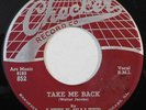 blues r&b 45 LITTLE WALTER Take Me Back CHECKER VG+ HEAR it's too late brother