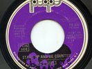 Rare Funk 45 - The Flames - Stand Up And Be Counted - People # PE 600 - Promo