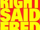 Right Said Fred - Up (Vinyl LP) Good Condition