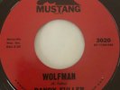 Rockabilly Garage 45/ Randy Fuller 