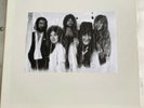 FLEETWOOD MAC - The Rockhoppers Live In Japan 1976 Vinyl Record LP TAKRL Concert