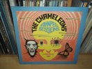 THE CHAMELEONS John Peel Sessions UK 1990 STRANGE FRUIT Indie LP Full Play Test