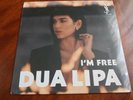 Dua Lipa  I'm Free LIBRE Promo 12 YSL