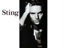 Sting - ...Nothing Like The Sun - vinyl - SP 6402 - Original Pressing