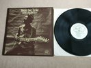 HOUND DOG TAYLOR & THE HOUSE ROCKERS Same US 1st Press Blues LP ALLIGATOR EX+