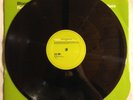 MICHAEL JACKSON BLOOD ON THE DANCE FLOOR Teddy Riley Mixes VINYL 12
