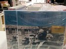 Desmond Dekkers and The Specials LP King of Kings Orange Vinyl 2021