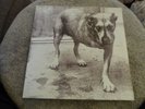 ALICE IN CHAINS - SELF-TITLED + X 2 LPS + INNERS - 1995 ISUSE A1/B1/C1/D1 - VG++