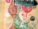 Ugly Casanova vinyl