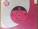 The LIVELY SET Don't Call My Name 1964 PYE 7N.17880 UK 7