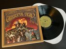 GRATEFUL DEAD Self Titled 1ST ALBUM Green Label 1970 WS1689 VG+