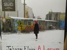 johnny flynn A Larum  vinyl