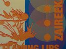 Flaming Lips - Zaireeka single black mixdown LP - UNPLAYED
