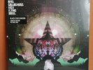 Noel Gallagher's High Flying Birds. Black Star Dancing Pic Disc.
