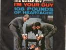 Fontana Sg . -    THE BLIZZARDS    -  I`M  YOUR GUY   -    Muster