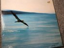 Vintage 1972 Album CHICK COREA RETURN TO FOREVER ECM-1-1022 NEAR MINT orig cello