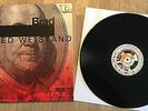 BRAD - United We Stand *LP* LIMITED VINYL Pearl Jam