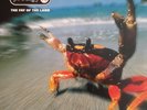 Prodigy - The Fat Of The Land .(Doppel - LP Vinyl, )