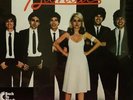 Blondie / Parallel Lines 180 Gram Vinyl Record NEW SEALED