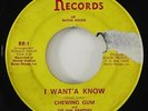 Chewing Gum & The Gum Wrappers 
