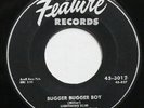Lightnin' Slim Feature Records Rare 45rpm 45 1954 