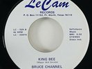 Bruce Channel 