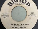 SARAH COOKE-Please Don't Go/Sun's Gonna Shine-RARE DJ WLP Promo NORTHERN SOUL 45