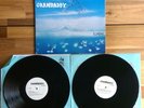 Grandaddy - Sumday Vinyl Record 2xLP 2003 Original V2 Press