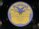 78 RPM -- Bill Carlisle, Bluebird 6600 (2 guitars), E+ Country