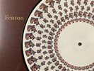 hot mulligan fenton + honest and cunning amainated vinyl