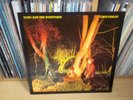 ECHO AND THE BUNNYMEN Crocodiles GERMAN 1980 KOROVA KODE 1 Indie LP with INNER