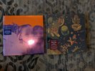 Smashing Pumpkins Vinyl - Siamese Dream + Mellon Collie and the Infinite Sadness